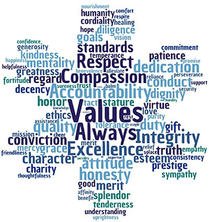 aboutus-values